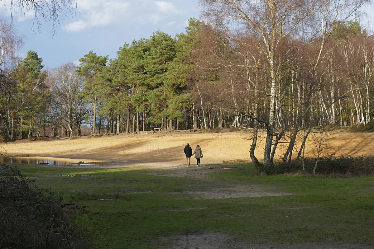 The sandpit on Horsell Common, where H G Wells landed his Martians