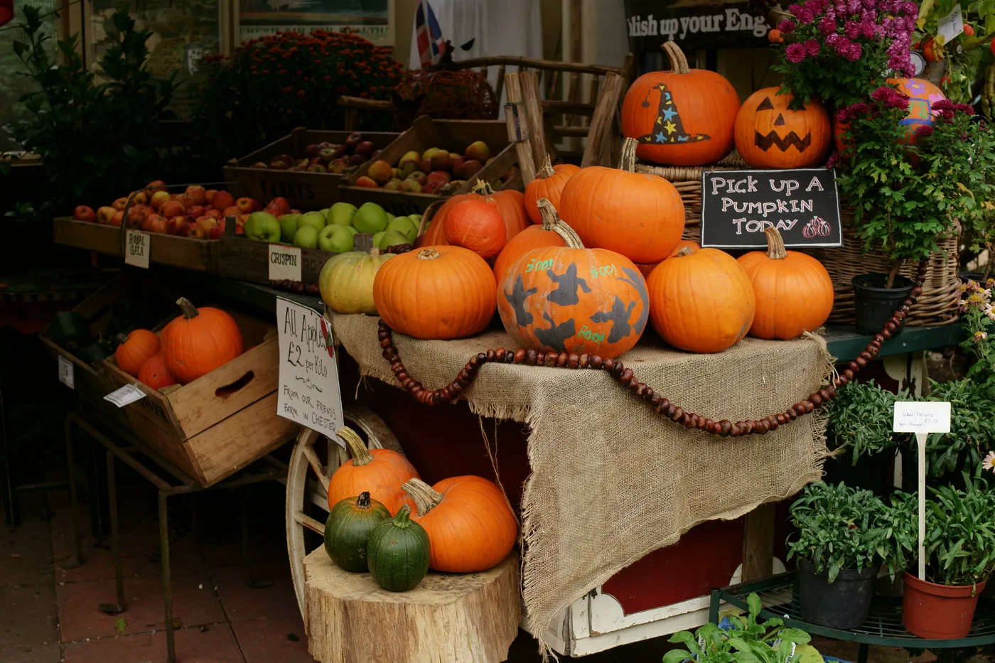 Pumpkins for sale at a Surrey farm. Crockford Bridge Farm near Addlestone is the nearest pick-your-own patch to Woking.